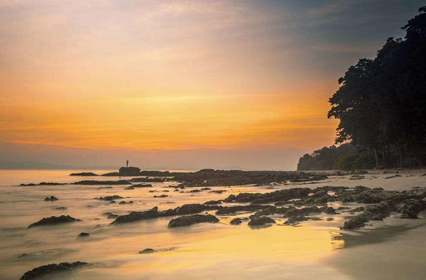 Sunset over Corbyn's Cove Beach with palm trees swaying overhead