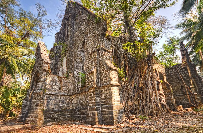 Overgrown colonial ruins on Ross Island on a quiet afternoon